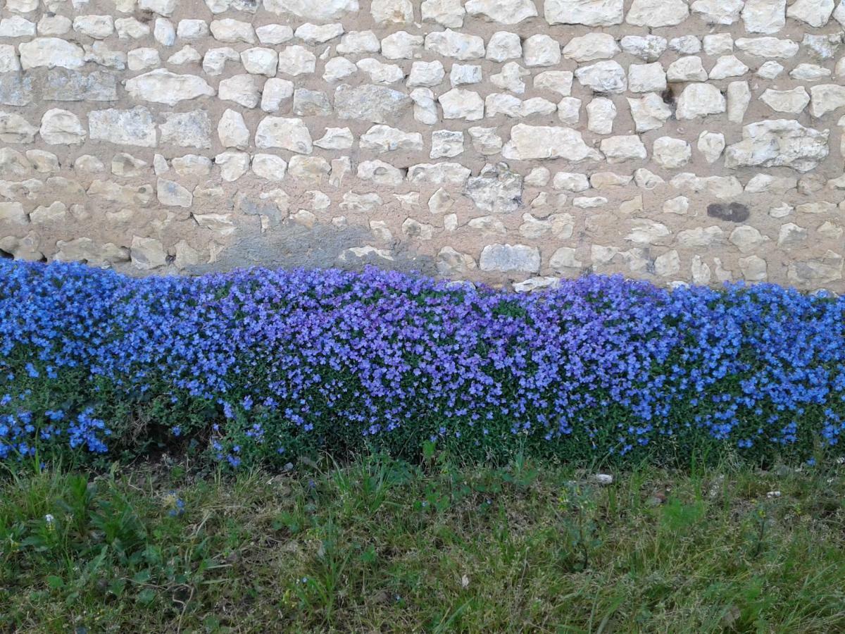 Fleur Du Soleil Villa Agudelle Luaran gambar